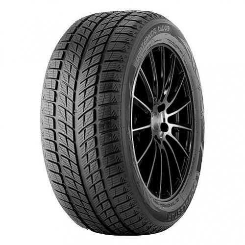Opona Doublestar 245/45R18 DW09 96T FR - doublestar_dw09.jpg